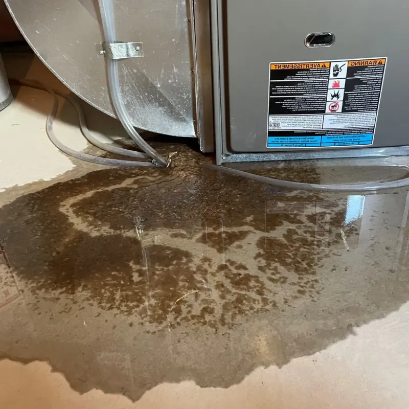 Pipe Burst and Leak Restoration in Grant County, NM